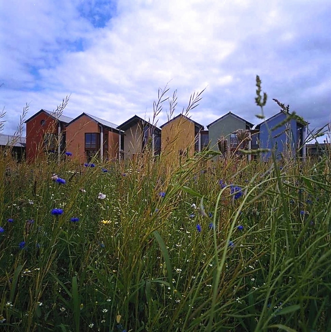 _gevels achter gras haaks mooi kopie 2